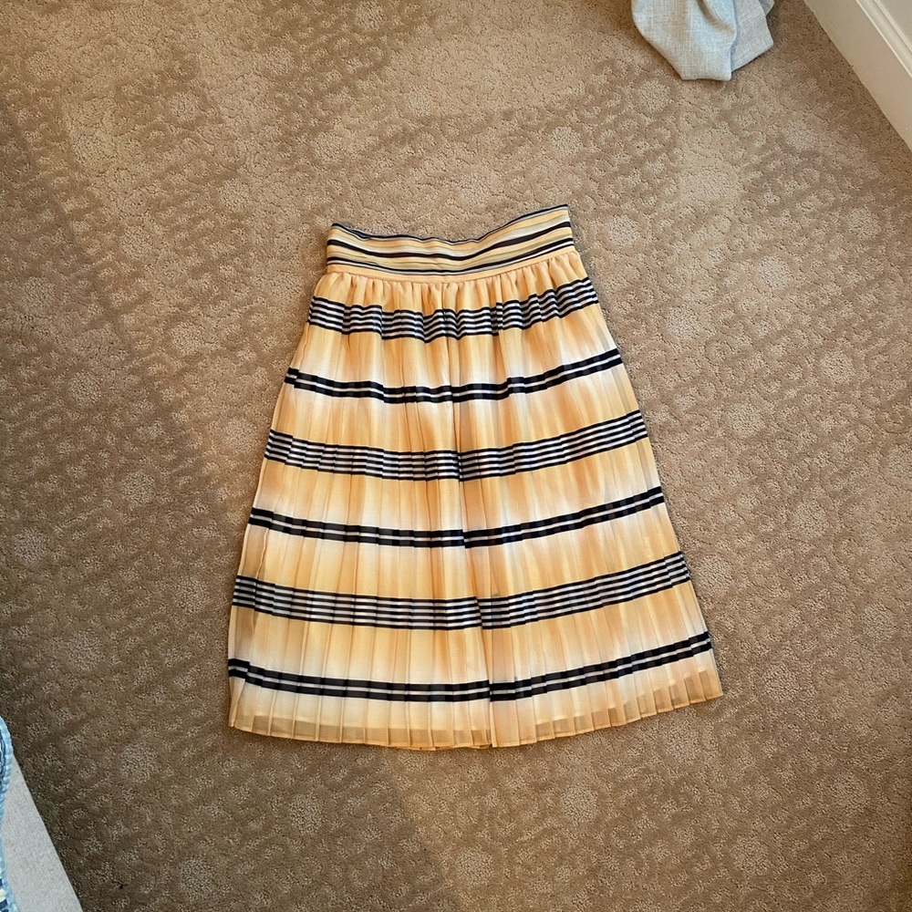 Pleated Skirt